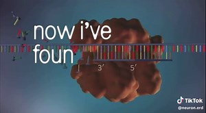 Lush life! Zara Larsson bio edition 🧬🧬 AP Bio unit 6: gene expression & regulation In this video, we go over how gene expression depends on transcription signals and proper RNA splicing. If introns aren’t removed correctly or in time, the mRNA may be nonfunctional or degraded. Thus, there is no protein made. Regulation actually doesn’t end at transcription! Post-transcriptional regulation is also important. #apbiology #neuronerd #classof2026 #lushlife #science