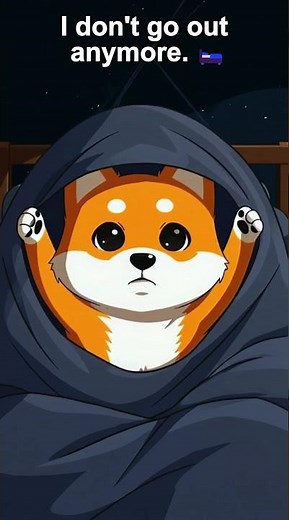 Kibo at 3am 🌙😱
