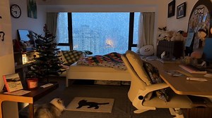 下班回家，卸下一身疲惫，舒服的躺在自己的小窝里看着伴随着窗外的雨声放松，入睡，治愈氛围雨声