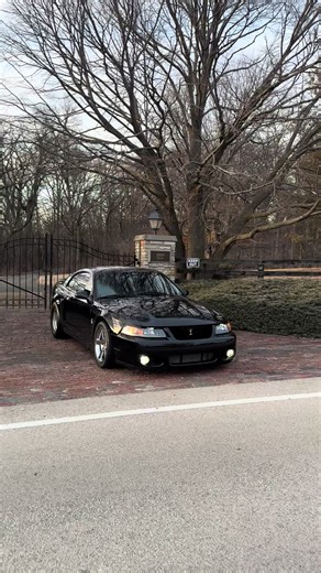 #svt #terminator #cobra #mustang | terminator cobra