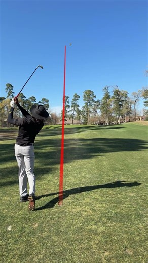 Pro vs +1 Hdcp
