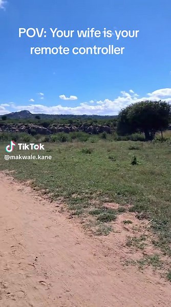 Hilarious POV: Your Wife as the Remote Controller