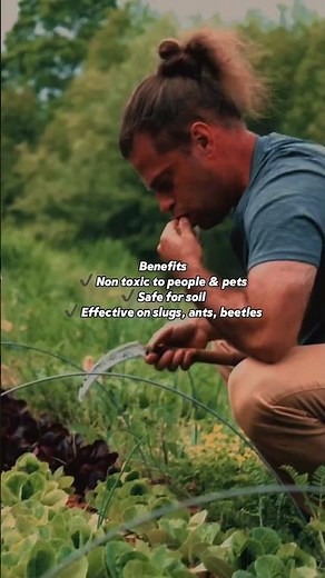 How We Grow Huge Veggies Without Chemicals