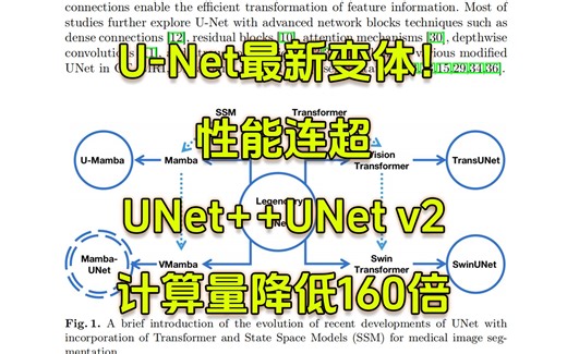 U-Net最新变体！性能连超UNet  UNet v2，计算量降低160倍