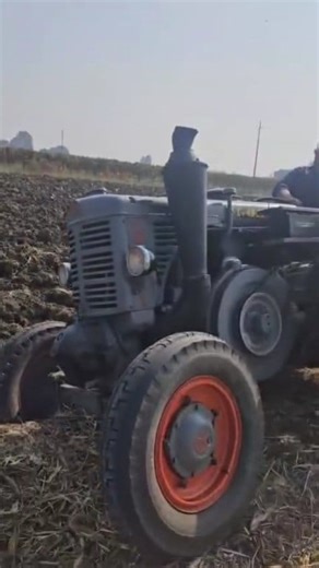 8.9K views · 161 reactions | Ploughing Matches and Landini Hot Bulb Single Cylinder engine tractors in Italy. #Landini #landinitractors #tractor | Tractor Page | Facebook