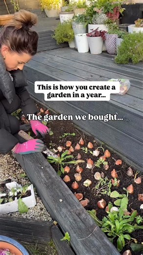 12K views · 1.6K reactions | Grown in a year… You can transform ANY...