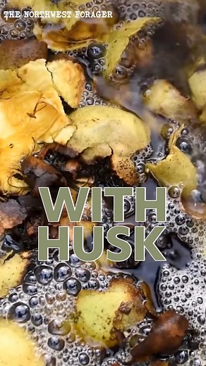 3.1K views · 68 reactions | How to make homemade Black Walnut stain from scratch! | The Art of Survival | Facebook