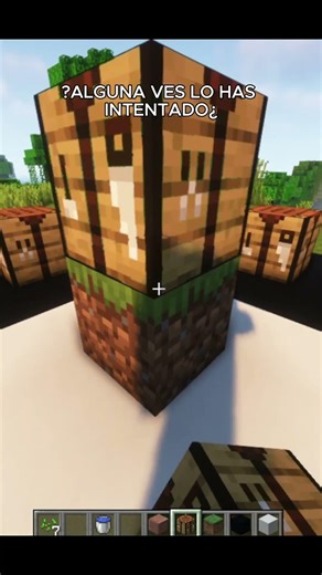 Minecraft puede engañar tus ojos 👀#minecraft #minecraftshorts #gaming #memes #humor