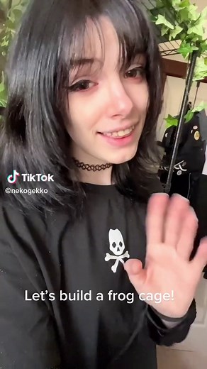 Building a Frog Cage: Unboxing and Assembly with RepTizoo