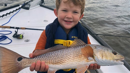 1.9K views · 28 reactions |  As autumn settles over Florida’s...