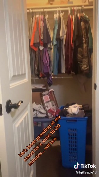 Tristan Gillespie (@tgillespie13)’s videos with original sound - Tristan Gillespie