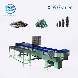 [Hot Item] Industrial Automatic Basa Fish Weight Grading and Sorting Machine