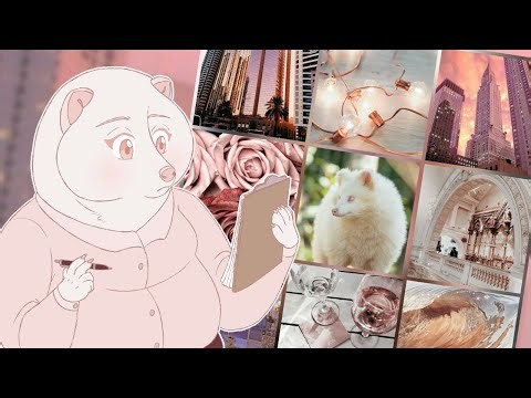 Rose Gold Tanuki - Moodboard Character Design Speedpaint