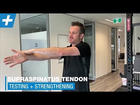 Supraspinatus Tendon Testing + Strengthening | Physio REHAB | Tim Keeley
