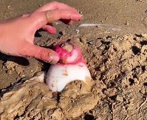 89K views · 208 reactions | En modo Madera on Reels | Facebook