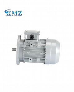 [Hot Item] Dual-Capacitor Asynchronous Three Phase Induction Electric Motor for Pump