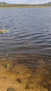 Cuida pescaria foi neste paraíso da pesca sub#pescasub#pescasubmarina | Ranielly Dantas Melo