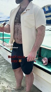 Single bear 🐻at the beach