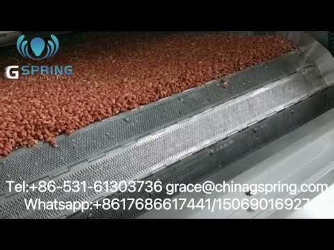 professional factory peanut roaster machine# peanut roaster machine