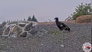 4.9K views · 255 reactions | In case you missed, here are some...