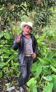 The Farmer's Honesty