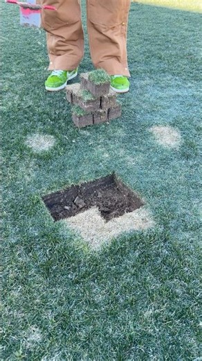 IRL Minecraft VS Dog Pee