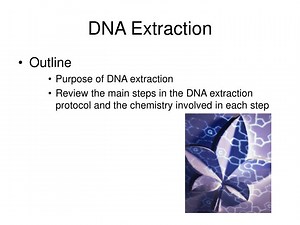 DNA Extraction - SlideServe
