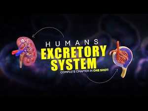 EXCRETORY SYSTEM | Full chapter | Ft. Naveen Kumawat