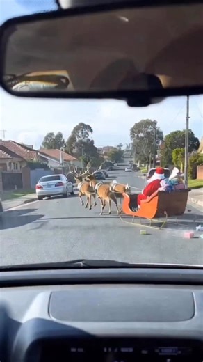 67K views · 4.6K reactions |  BREAKING: OFFICIAL SIGHTINGS CONFIRMED...