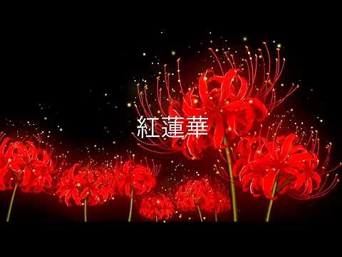 1-hour loop of 紅蓮華 Gurenge (LiSA) from THE FIRST TAKE