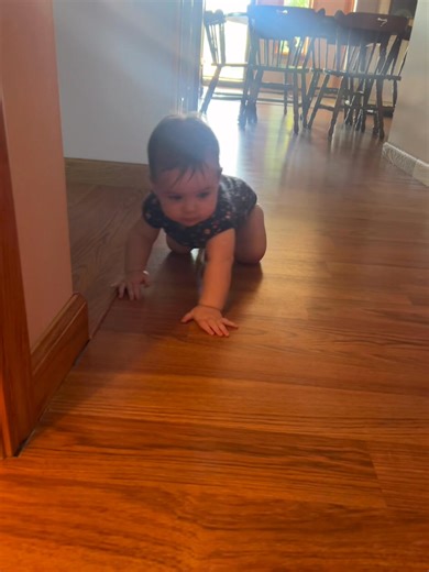 Somebody’s getting this crawling thing down even though she’d rather pull her self to standing already | Treasure-Amber Nelson