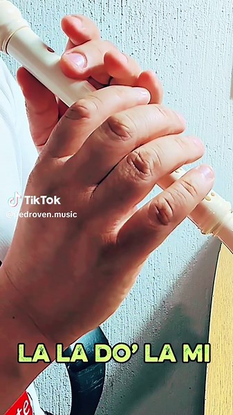 Y QUÉ FUE? - Tutorial de Flauta para Canción