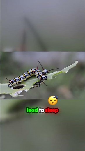 Unlock the Mysteries of Sleep Paralysis and Astral Projection!