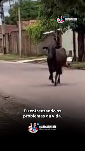 Quando eu decido resolver os problemas da vida! #oaraguainense #problema #fy #viral | O Araguainense
