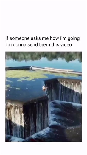 #fyp would you do it too?