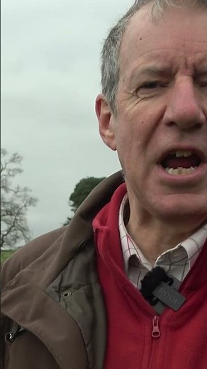 Duck flighting at dusk with a world champion 🦆🌅