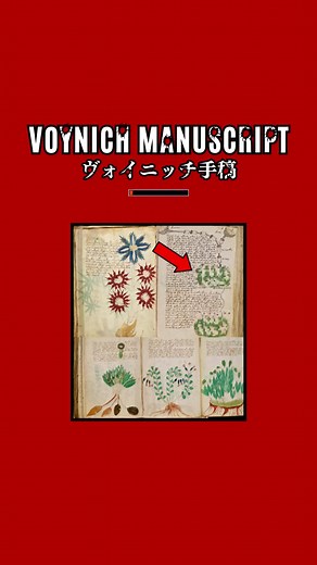 ヴォイニッチ手稿の謎と解読の試み