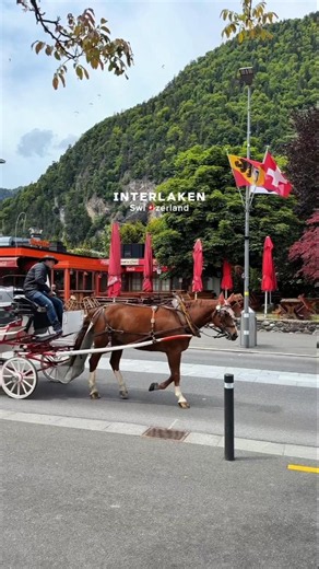 Interlaken, Switzerland 🇨🇭 | The Town Between Two Turquoise Lakes 😍🏔️ | Alpine Paradise #Shorts