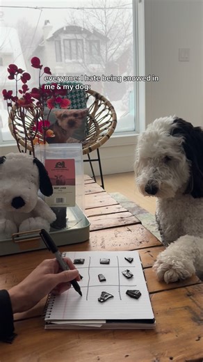 Toby “Tobias” on Instagram: "Endless entertainment. Featuring our fave @rawperformancedogfood beef liver treats. #smartdogs #dogsofcanada #rpdf #sundayfunday"