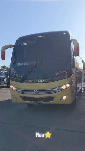 Tu Bus: Servicio de Transporte de San Miguel a San Salvador