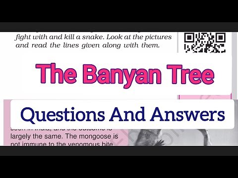 The Banyan Tree | Ncert | English | Questions And Answers | Chapter -8 | Class 6 | Honeysuckle
