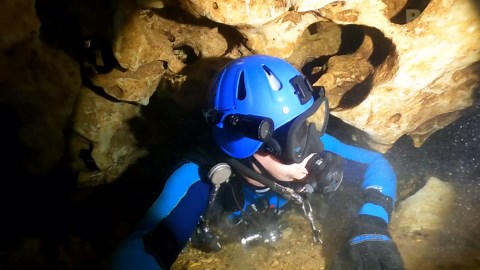 We were looking for an octopus… then a shark came out of the dark