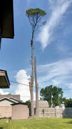 Gunung Semeru Meletus Lagi di Malang