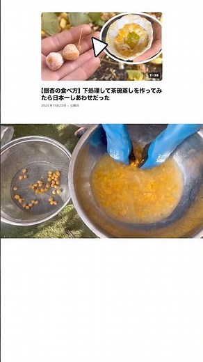 銀杏を最速で下処理する方法がコチラ【意外に簡単】