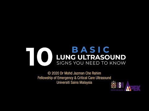 10 Basic Lung Ultrasound Signs You Need To Know