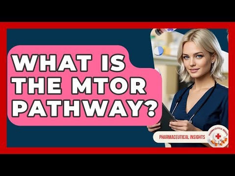 What Is The MTOR Pathway? - Pharmaceutical Insights