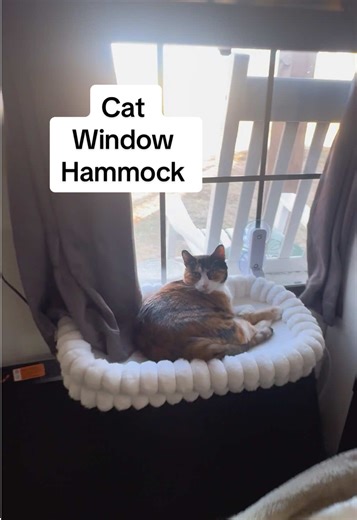 I did NOT expect Lucy Cat to love this little window hammock as much as she does but it has been the perfect solution for keeping her off my computer without taking away her window time. 😻 #catsoftiktok #catbed #cataccessories #catmom