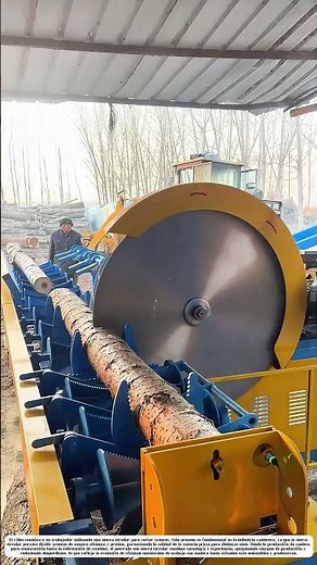 Procesos de aserrado: Cómo la sierra circular transforma troncos en materia prima esencial