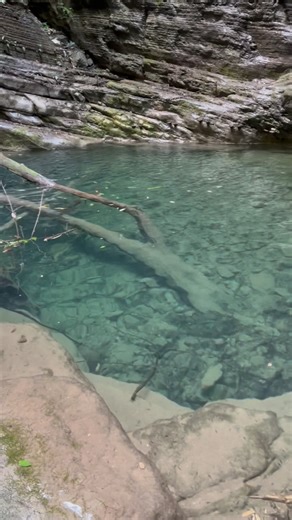 191 reactions · 4 comments | Found these freshwater shrimps in the...