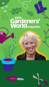 There’s little that’s more satisfying than making new plants for free! And it’s easier than you might think to make scores of your favourite plants for nothing through propagation. Carol Klein is an absolute master of propagation, able to make masses of new plants through cuttings of all kinds, dividing plants, layering, and growing from seeds – something she has demonstrated many times on TV on Gardeners’ World and in the pages of our magazine. In the latest episode of the BBC Gardeners' World 